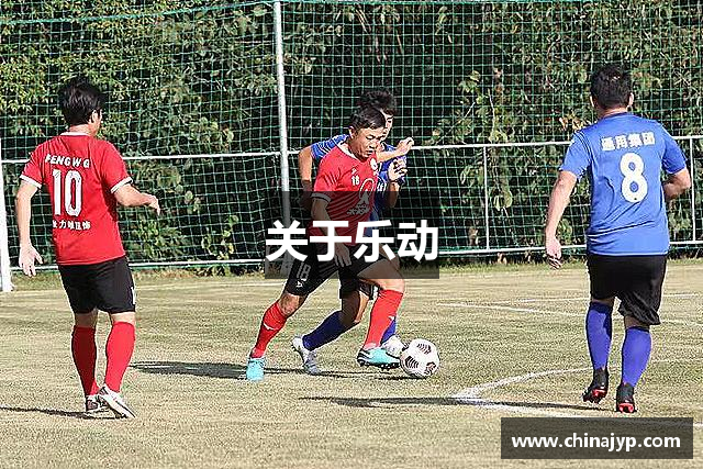 关于乐动